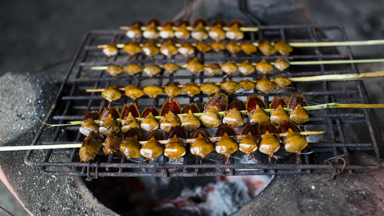 stink bugs on the grill