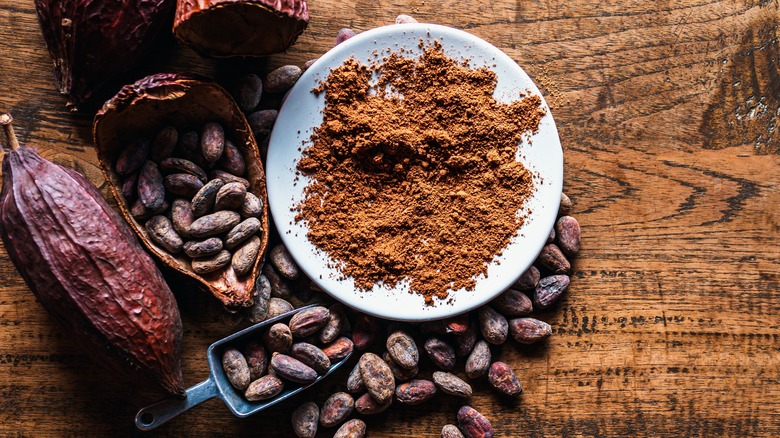 cocoa beans and cocoa powder