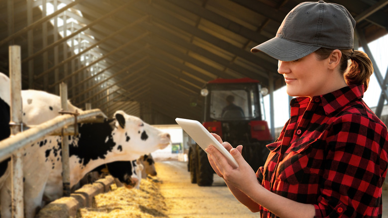 Young farm girl using iPad to catalog her herd