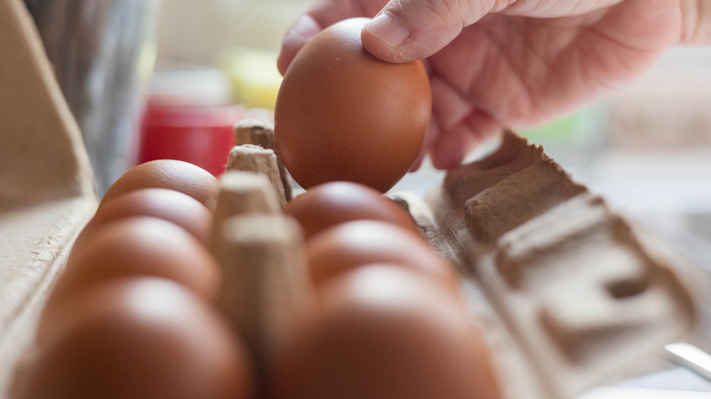 A hand takes an egg out of a carton