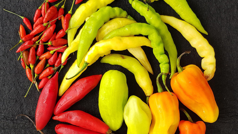 Different types of peppers