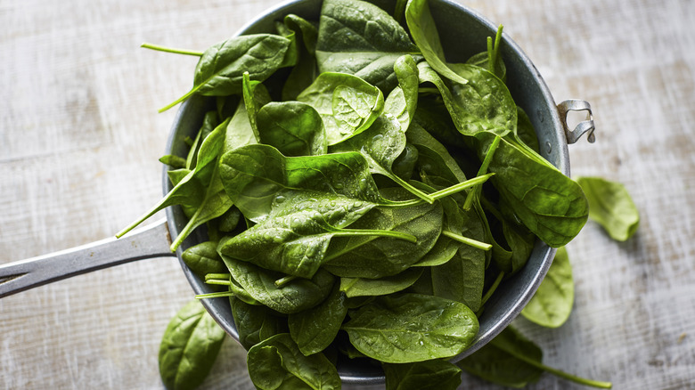 Washed spinach leaves in pot