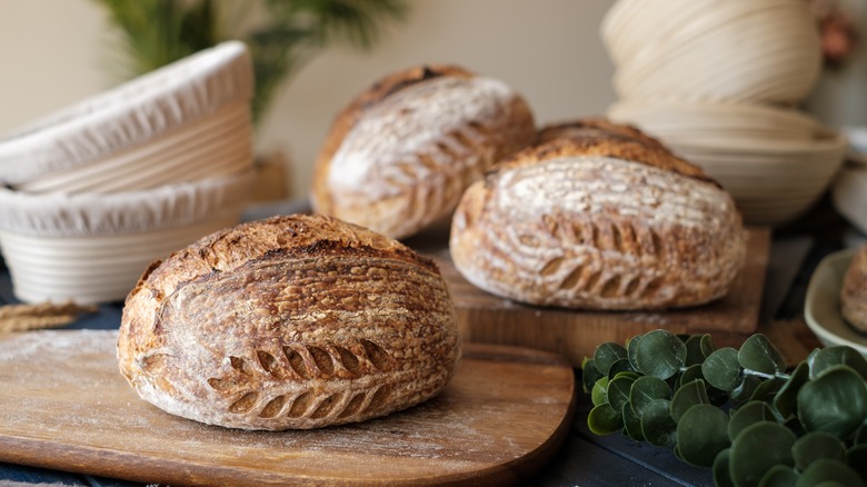 loaves of sourdough bread