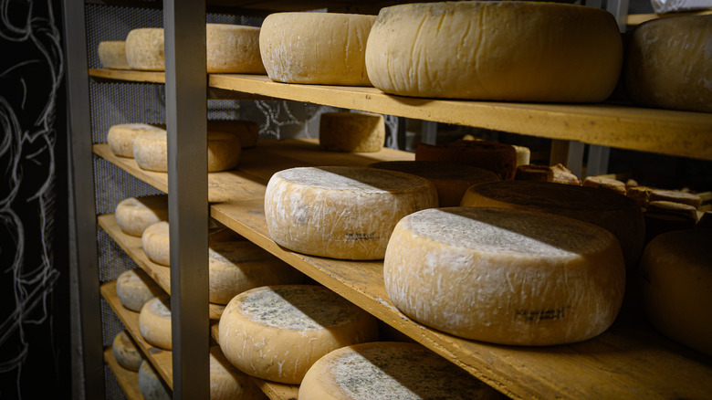 Wheels of Parmesan on shelves