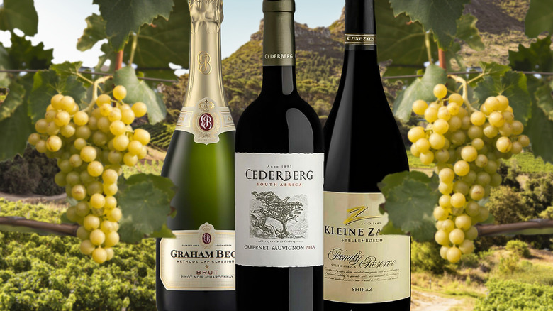 three South African wines