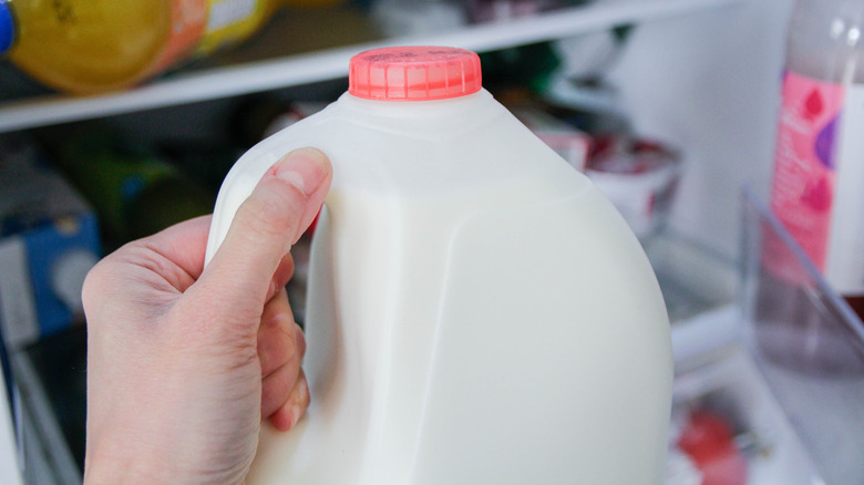 A bottle of milk going into a refrigerator