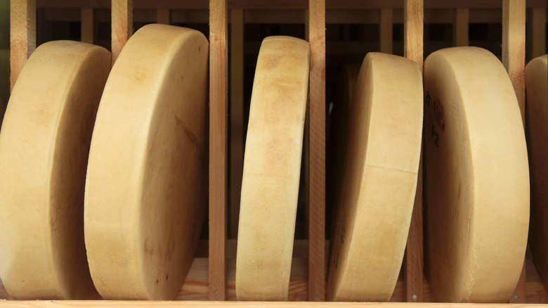 gruyere cheese blocks in cellar