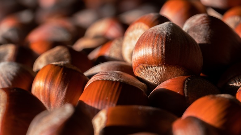 this-state-produces-the-most-hazelnuts-in-the-us