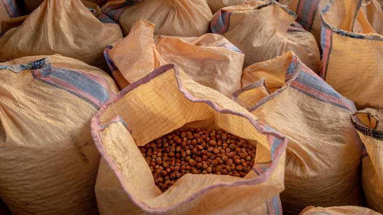 hazelnuts in bag