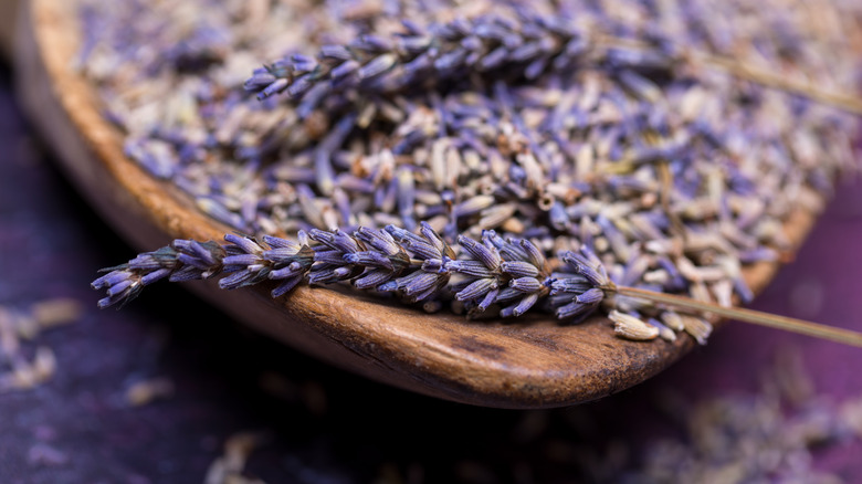 lavender in a wooden bowl