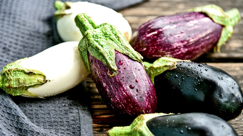 eggplant manufacturers, eggplant manufacturers Suppliers and