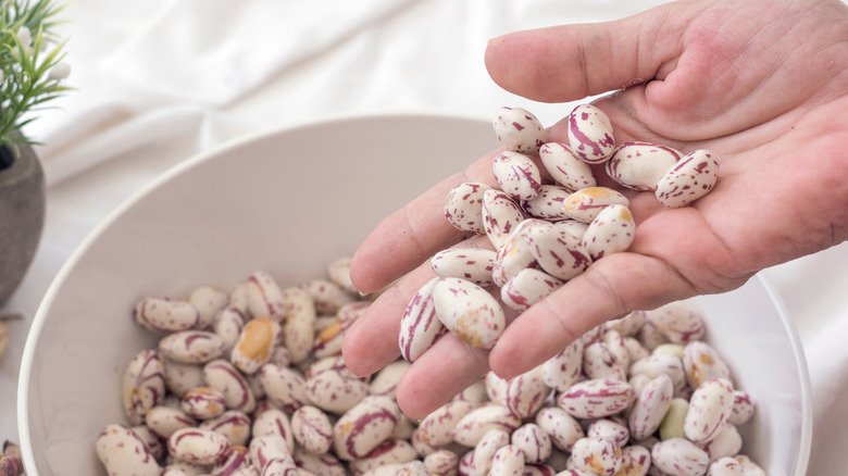 Hand holding white speckled beans