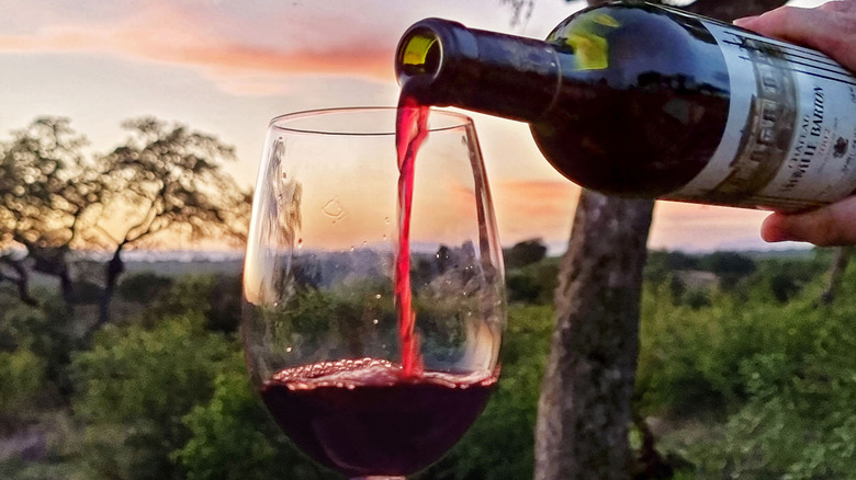 pouring wine into glass