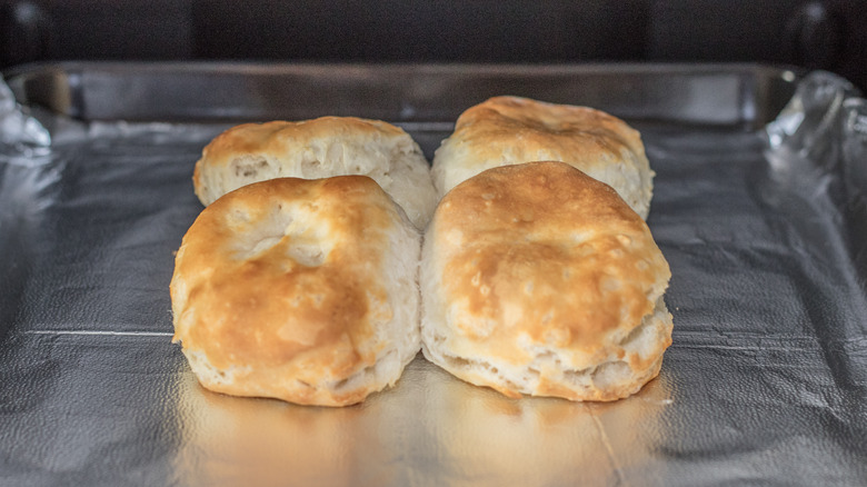 biscuits baking in a toaster oven