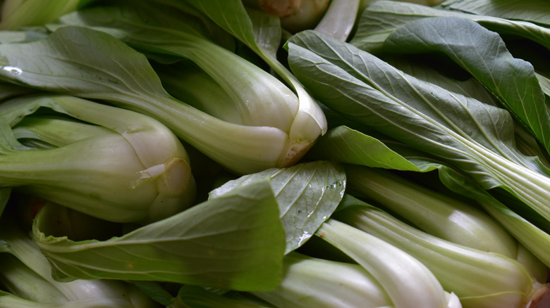 Bunches of bok choy