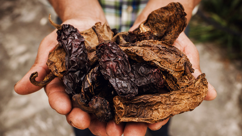 A close-up of chipotle peppers