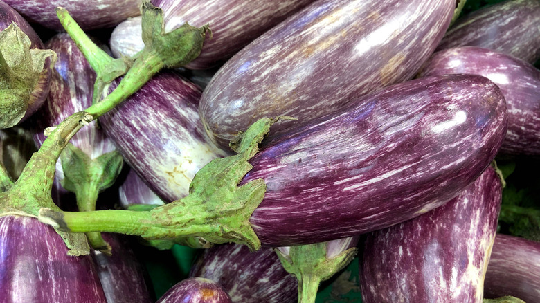 Fairytale eggplant variety