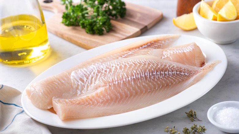 Raw haddock on a plate 