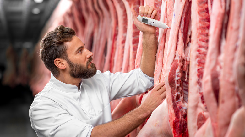 Butcher taking the temperature of raw meat