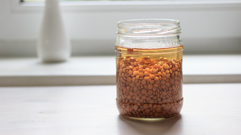 Lentils soaking in a jar