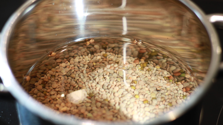 Lentils in water