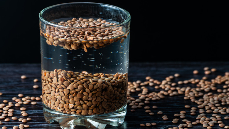 Lentils in water