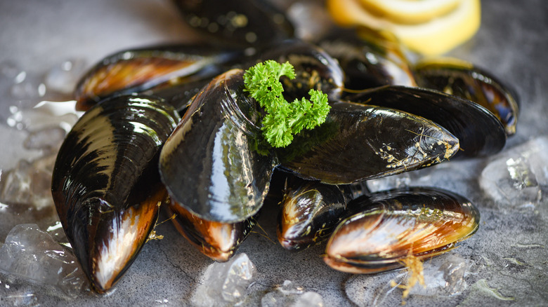 mussels on ice