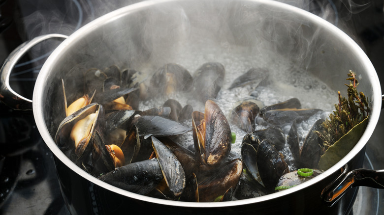 mussels being steamed