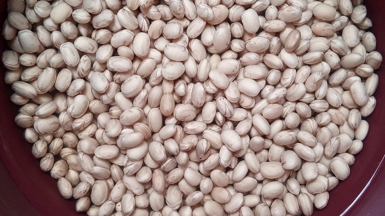 Pinto beans in water