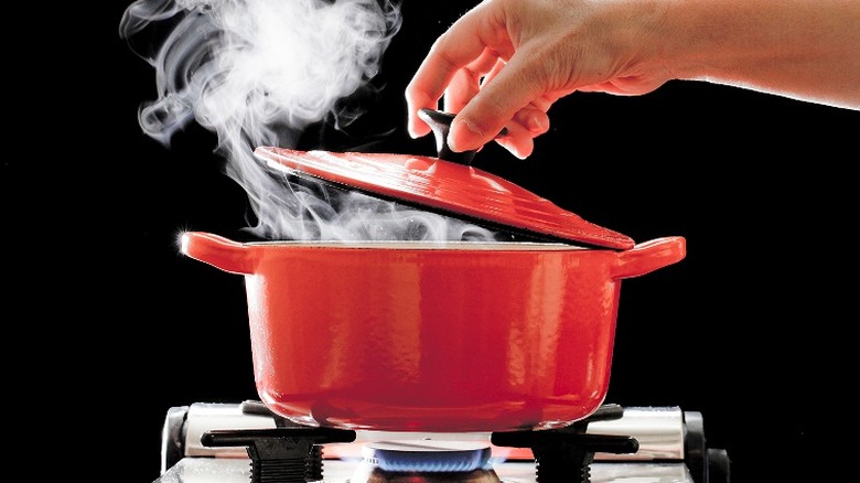 Cooking pot with steam