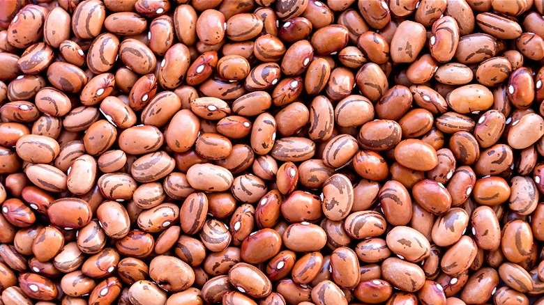 Dried pinto beans