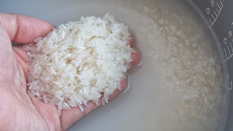 Rice in water