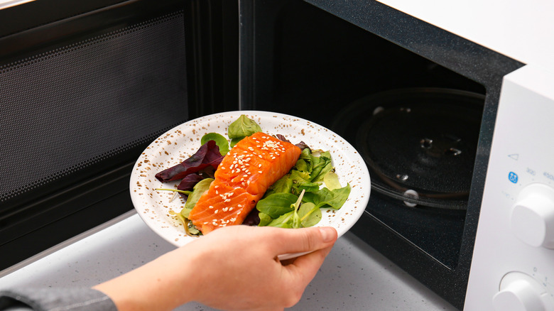 Person putting salmon in microwave