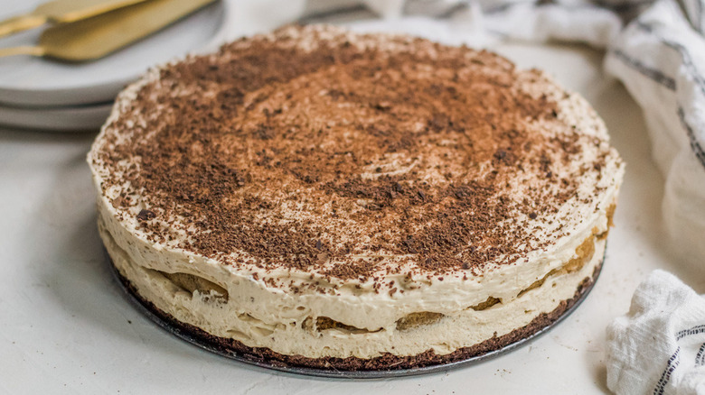 tiramisu cheesecake with cocoa powder