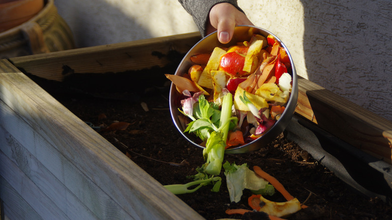 Dumping vegetable discards in compost