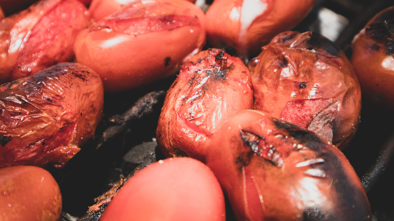 roasted tomatoes on grill 