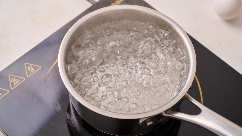 boiling water in pot