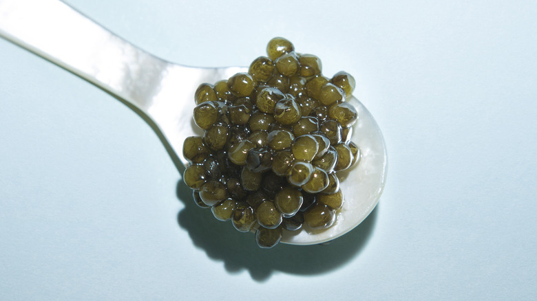 A spoon of Kaluga caviar