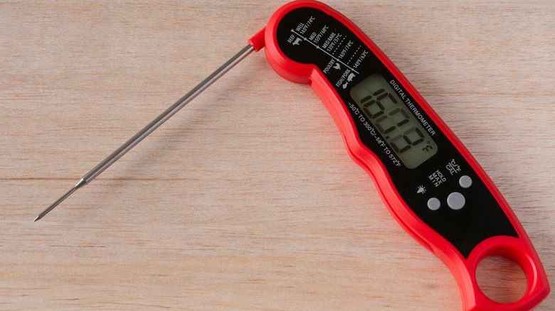 Digital thermometer with probe