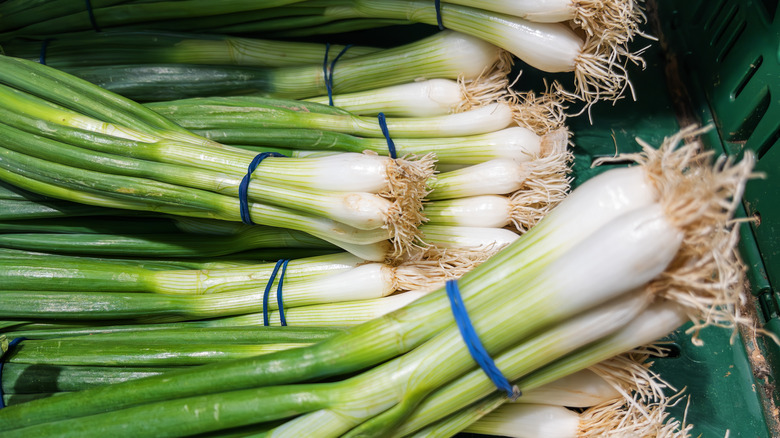 bundles of green onions