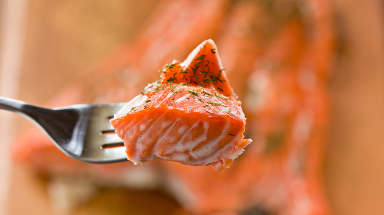 A close-up of a piece of salmon