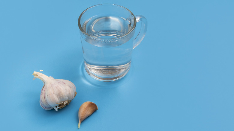 Water cup and garlic