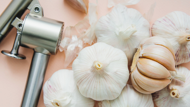 Garlic press and garlic