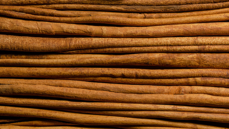 true cinnamon sticks