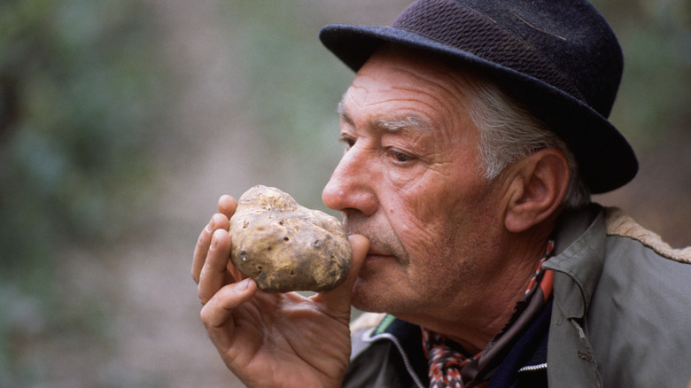 Man sniffing fresh truffle