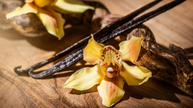 vanilla flowers and pods