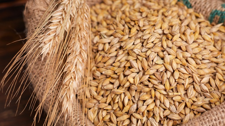 wheat grain in bag