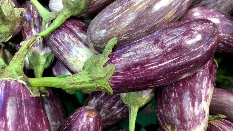 Eggplant pile