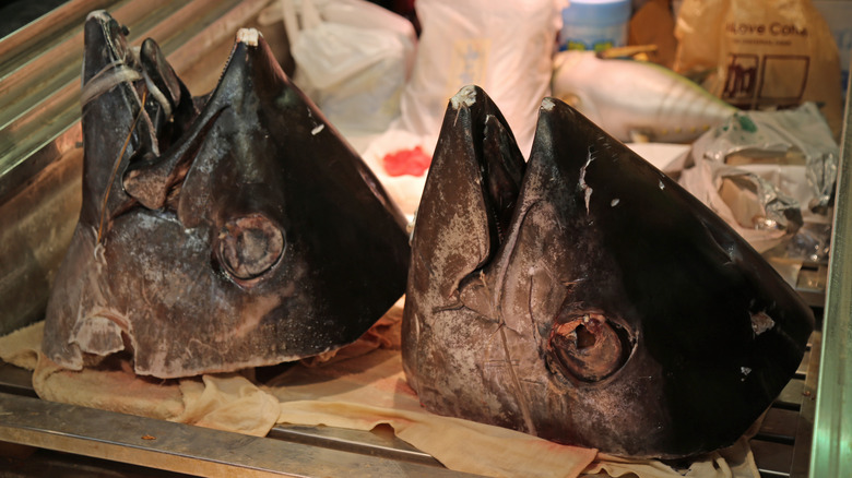 Two fresh tuna heads