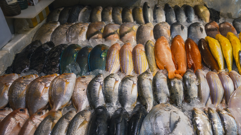 Table with fresh fish variety